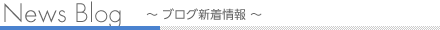 新着情報