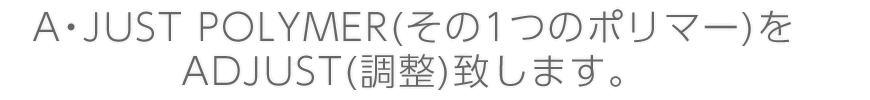 A JUST POLYMER(その1つのポリマー)をADJUST(調整)致します。